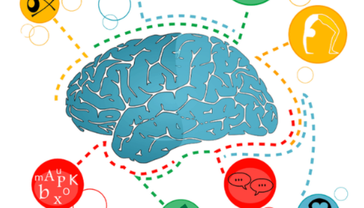 8 intelligences multiples.