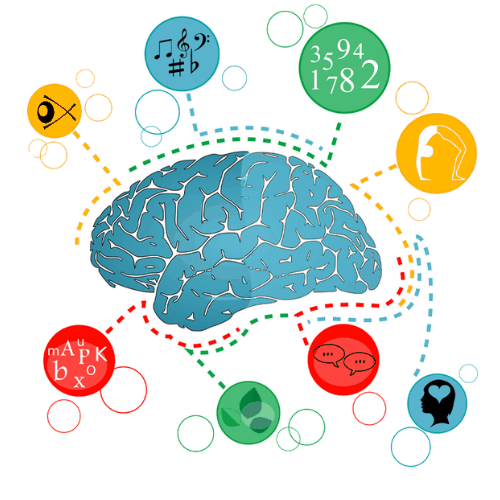 8 intelligences multiples.