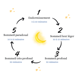 Cycle du sommeil